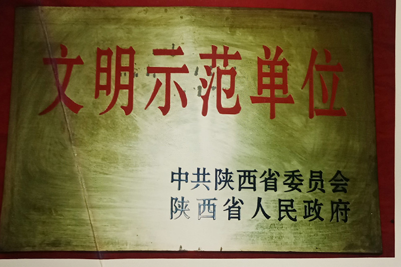 10、省級-陜西省文明示范單位.jpg